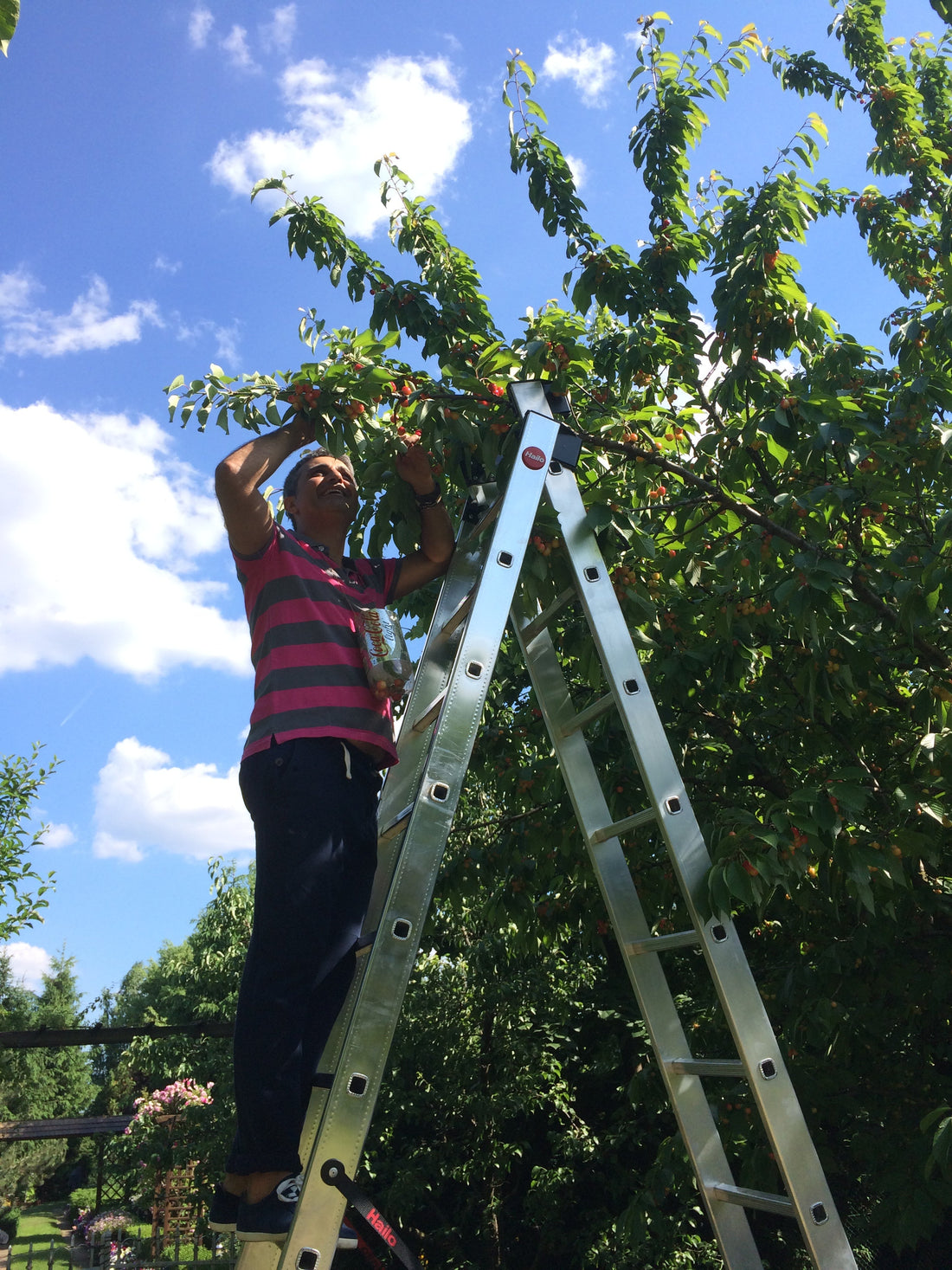 Jurnal public, 1 iunie 2015.